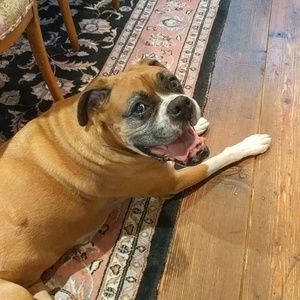 Meet your Posher, Alexa